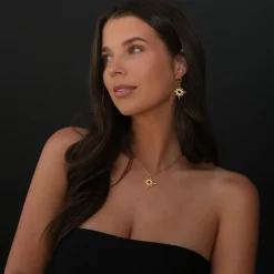 Shine me forever Earrings